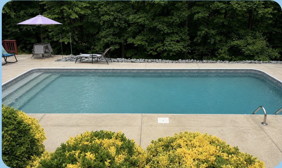 Backyard swimming pool bordered by patio and flowering shrubs